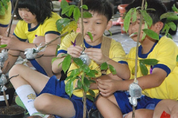Manjakan Anak dengan Ecotainment di Godong Ijo Depok