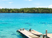 Bertemu Anak Hiu Saat Snorkeling di Pantai Iboih 