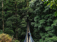 Sensasi Canopy Trail Taman Nasional Gunung Halimun Salak