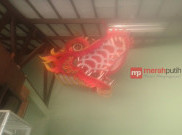 Belajar Mengenal Layang-layang di Museum Layang-layang