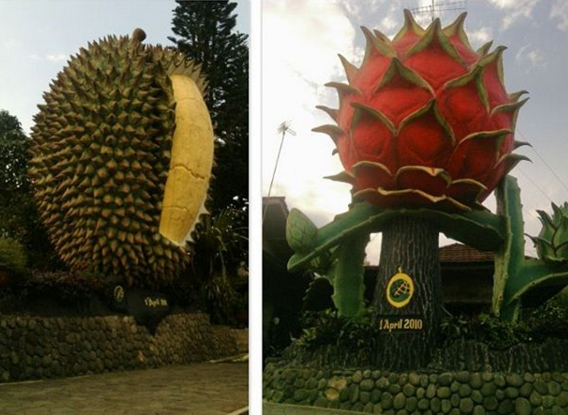 Ajib, Makan Duren Legit di Kebun Durian Warso