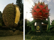 Ajib, Makan Duren Legit di Kebun Durian Warso
