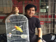 Bisnis Burung Online Menjanjikan