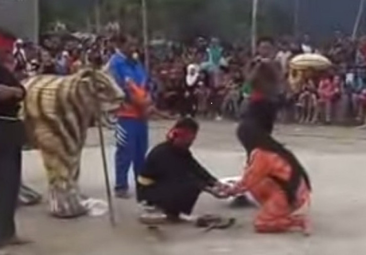 Ngangah Kerinci, Tari Pemanggil Roh Harimau