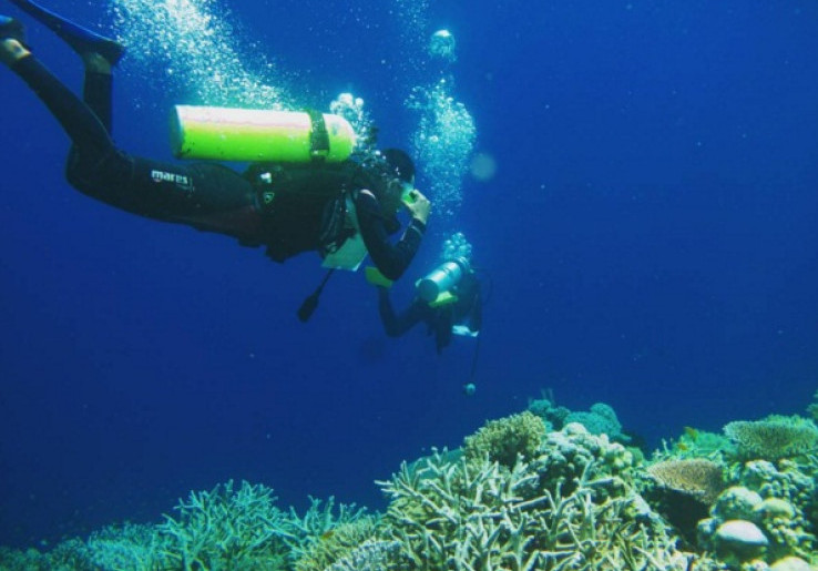 Nikmati Pesona Keindahan Pulau Tomia Wakatobi