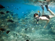 Cihandarusa Taman Snorkeling dan Diving di Ujung Kulon