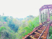 Selfie Keren di Jalur Kereta Api Cikudapateuh Ciwidey