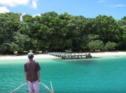 Pulau Peucang Surga Kecil di Ujung Kulon