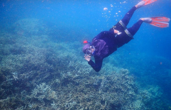 Sejuta Pesona Keindahan Pulau Pramuka 