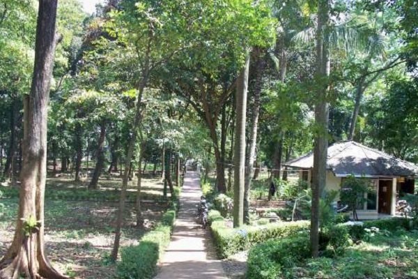 5 Lokasi Wisata Tangsel Bergaya Alam Terbuka Hijau - MerahPutih