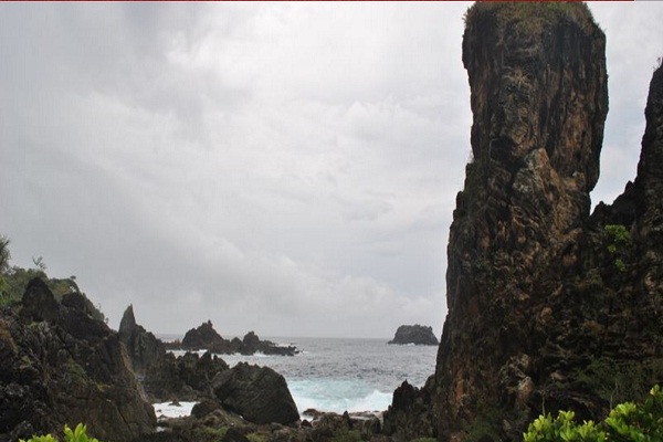 Taman Nasional Ujung Kulon, Benteng Terakhir Badak Jawa 