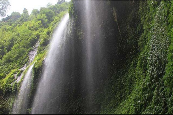 Jejak Gajah Mada Dibalik Eksotisme Air Terjun Madakaripura