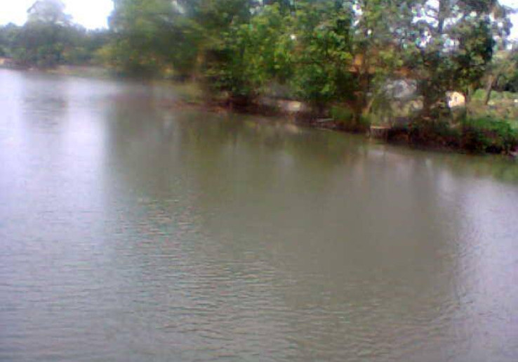 Asyiknya Memancing Ikan di Setu Pamulang