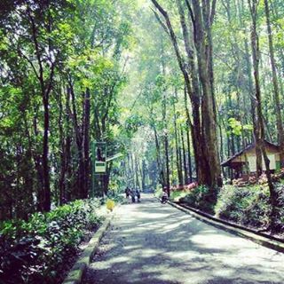 Rekreasi Keluarga di Hutan Kota Jombang Tangerang Selatan