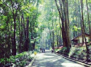 Rekreasi Keluarga di Hutan Kota Jombang Tangerang Selatan