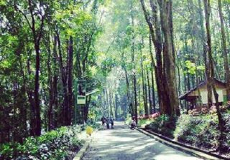 Rekreasi Keluarga di Hutan Kota Jombang Tangerang Selatan