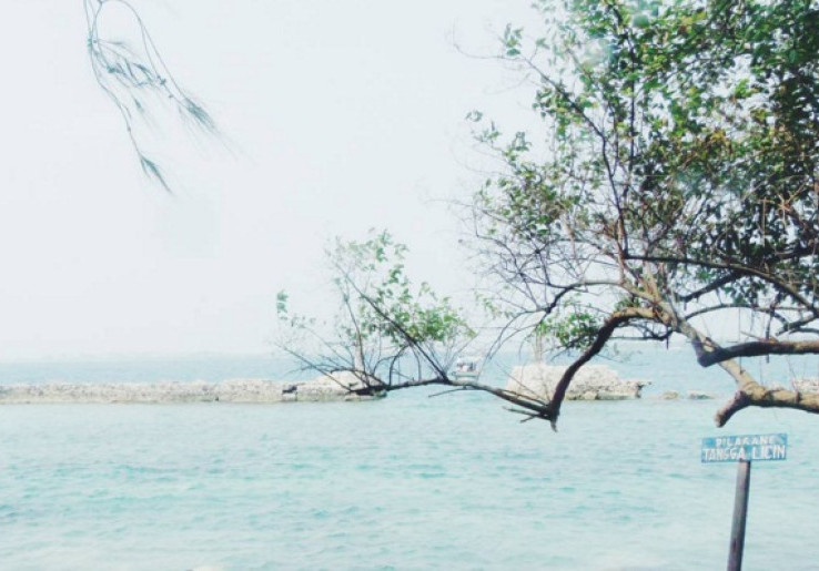 Nikmati Pesona Keindahan Bawah Laut Pulau Bulat
