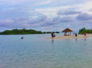 Yuk Liburan Seru Ke Pantai Pasir Perawan di Pulau Pari