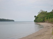 Pulau Peucang Tempat Nikmati Pasir Putih, Terumbu Karang dan Rusa
