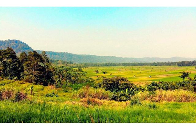 5 Wisata Kawasan Konservasi di Banten