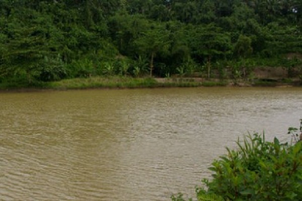 Sebelum ke Baduy, Yuk Mampir di Situ Palayangan
