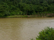 Sebelum ke Baduy, Yuk Mampir di Situ Palayangan
