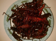 Maknyus, Belalang Goreng Rasa Udang dari Gunungkidul