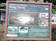 Goa Song Terus, Rumahnya Manusia Purba di Pacitan