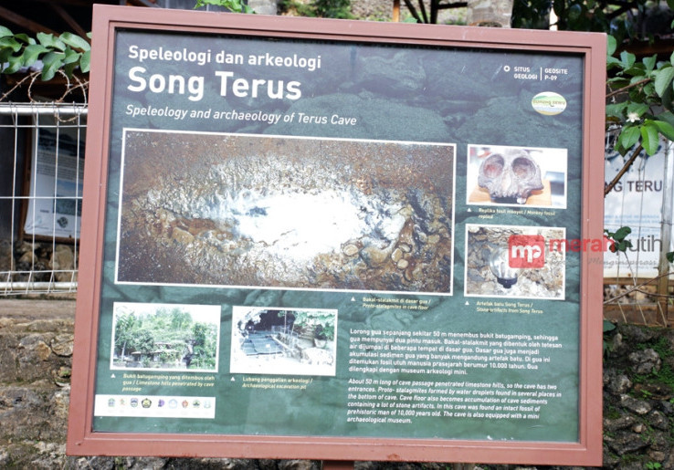 Goa Song Terus, Rumahnya Manusia Purba di Pacitan