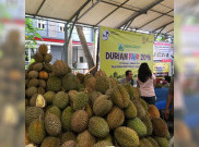 Durian Lokal Jadi Primadona di Durian Fair 2016