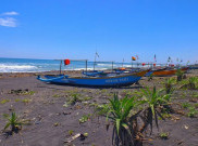 Inilah Rute Menuju Pantai Congot