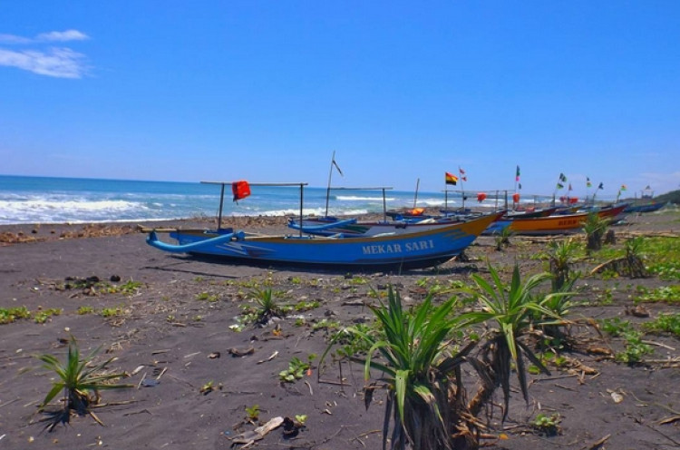 Pantai Congot Surganya Nelayan di Yogyakarta