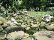 Muda Mudi Tak Tahu Aturan Kesurupan di Makam Keramat