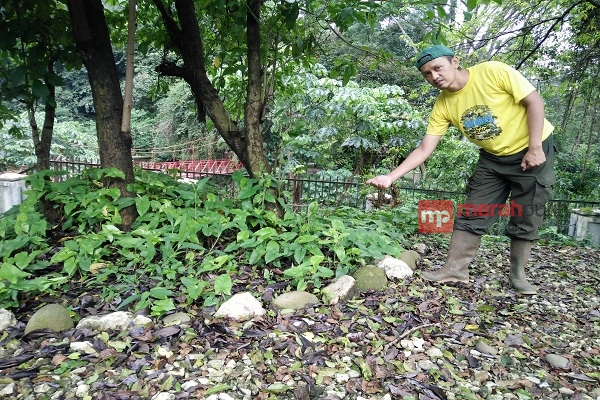 Cerita Mistis Tiga Makam Keramat Kebun Raya Bogor
