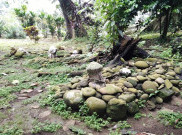 Tiga Makam Keramat Tersembunyi di Kebun Raya Bogor