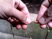 Kalung Ranting Ketela Pohon Mainaan Anak-anak saat di Ladang