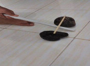 Patok Lele, Permainan Tradisional Nusantara yang Menyerupai Baseball