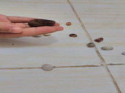 Gateng, Permainan Asli Yogyakarta Sejak Zaman Mataram Islam