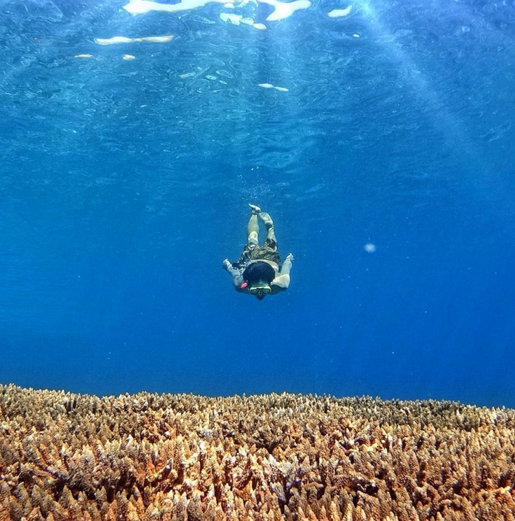 Snorkeling Keren di Pulau Kambing Bulukumba