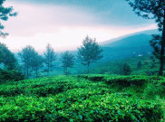 Taman Riung Gunung, Titik Tepat Pemandangan Kawasan Puncak