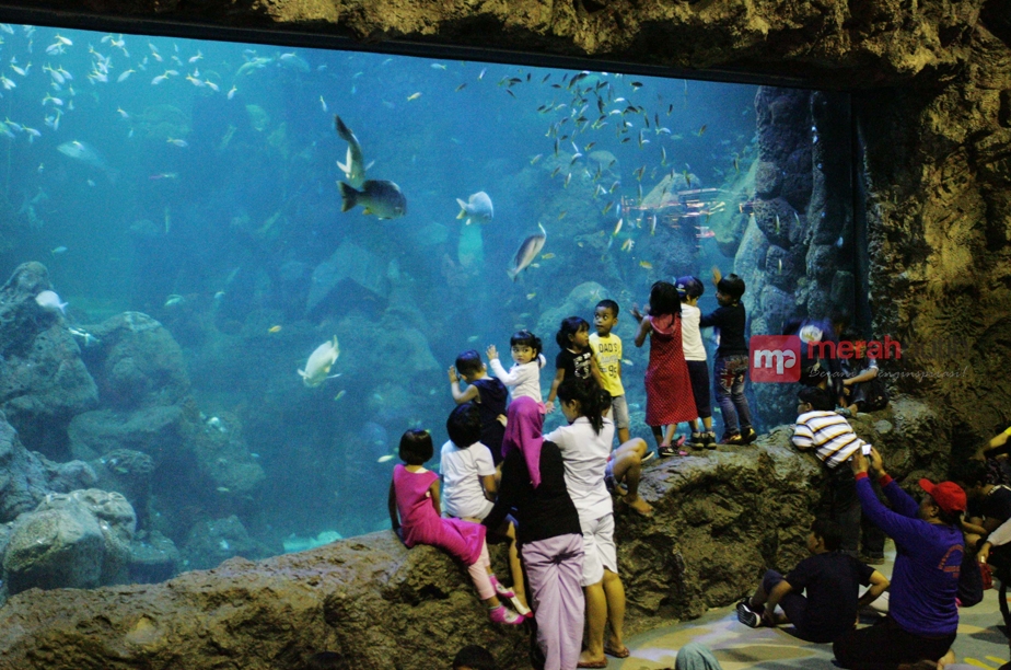 Libur Panjang, Taman Impian Jaya Ancol Targetkan 150 Ribu Pengunjung