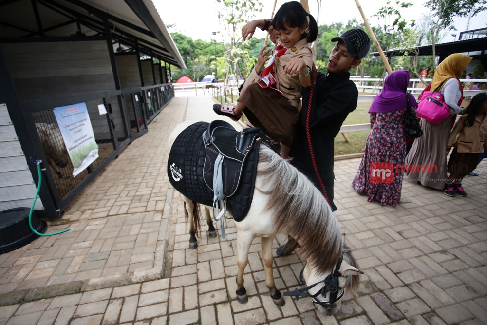 Wisata Unik, Menunggang Kuda Poni di Tangerang