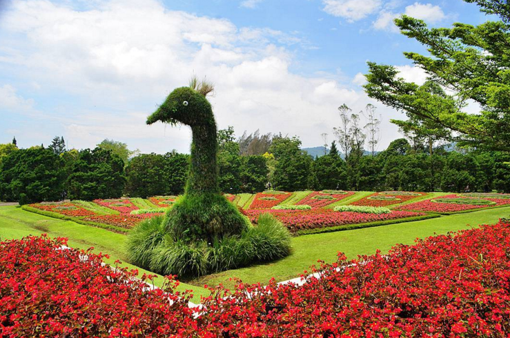 Yuk Liburan Penuh Warna di Taman Bunga Nusantara