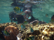 5 Destinasi Wisata Terbaik di Bengkulu