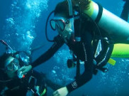 Miss Scuba Ajak Masyarakat Jaga Keseimbangan Laut