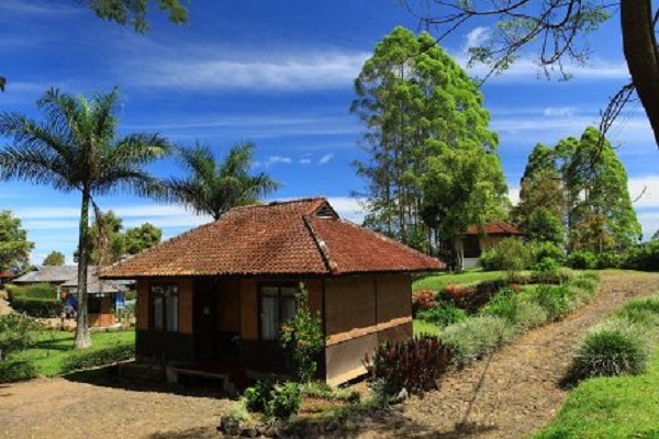 Nikmati Suasana Puncak di Agrowisata Gunung Mas