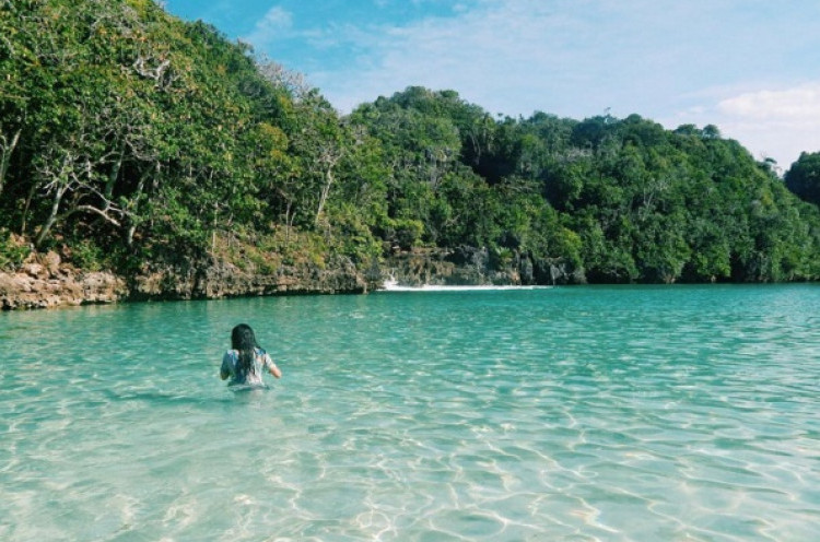 Pulau Sempu, Wisata yang Wajib Dikunjungi di Malang