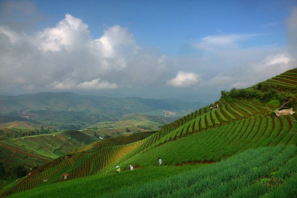 Wisata Terasering Argapura Sedang Populer di Majalengka