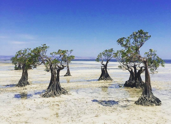 Pesona Keindahan Pantai Walakiri