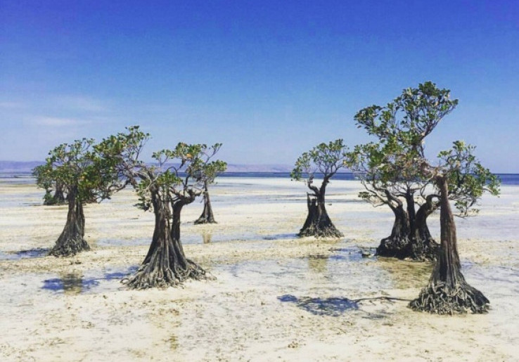 Pesona Keindahan Pantai Walakiri